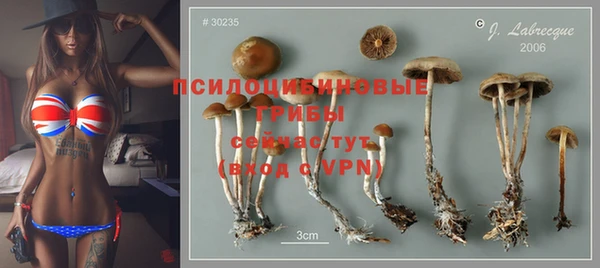 меф Нягань