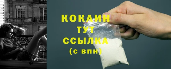 a pvp Новозыбков