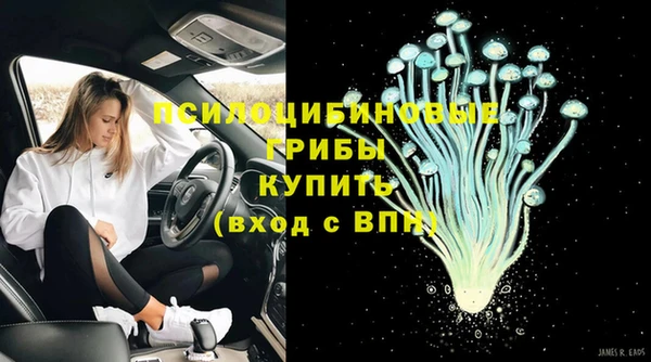 дмт Няндома