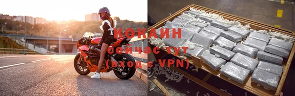 a pvp Новозыбков