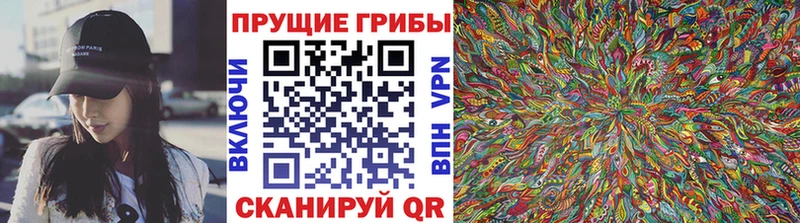 Псилоцибиновые грибы MAGIC MUSHROOMS  цена   Полесск 